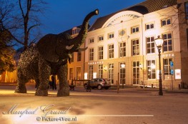 Manfred Grund - Picture4You.nl, ook voor paardenfotografie, bruidsreportages en de fotograaf voor al uw feesten en partijen.