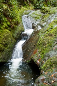 Manfred Grund - Picture4You.nl, ook voor paardenfotografie, bruidsreportages en de fotograaf voor al uw feesten en partijen.