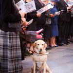 Manfred Grund - Picture4You.nl, ook voor paardenfotografie, bruidsreportages en de fotograaf voor al uw feesten en partijen.