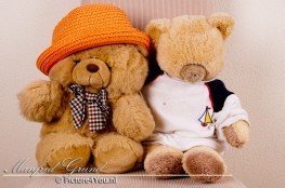 Portretfotografie: Teddyberen