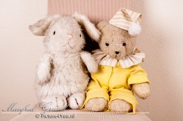Portretfotografie: Teddyberen