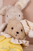 Portretfotografie: Teddyberen