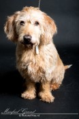 Fotoshoot met Bobby