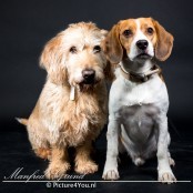 Broertjes Kees & Bobby als fotomodel - Een fotoshoot bij Picture4you.nl