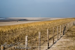 In de verte de strandmotor welke veel ophef heeft veroorzaakt. (1/250 sec. bij f/13, ISO 100 op 85mm)