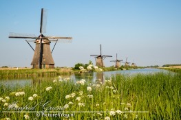 Kinderdijk