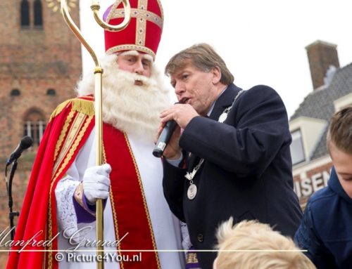 Sinterklaasintocht in Naaldwijk (Westland): Nieuwe foto’s