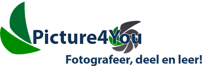 Picture4You Fotografie Logo