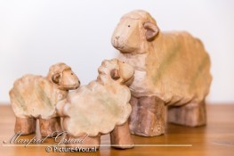camerastandpunten - ooghoogte-perspectief