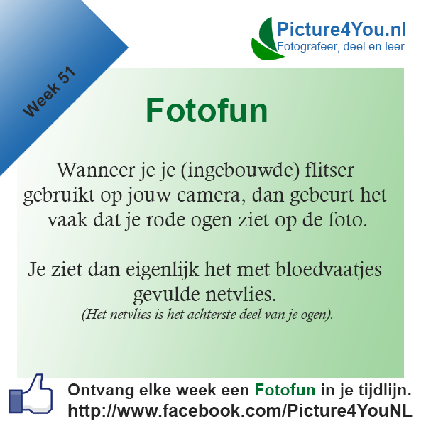 fotofun-week-51